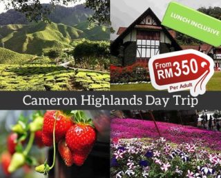 Cameron Highlands One Day Tour (Group)