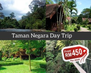 Taman Negara Day Trip (Group)