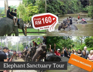 elephant sanctuary full day tour