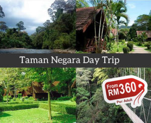 taman negara day trip